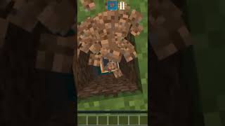 The minecraft world seed [upl. by Staford]