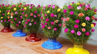 Elevate Your Garden with DIY Flower Pot Creations [upl. by Neik609]