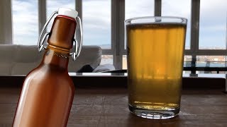 CLARIFICAR CERVEZA ARTESANAL con gelatina 🍺 [upl. by Eeleak]