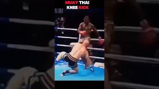 Muay Thai Knee knockout 🥊 muaythai boxer kickboxing [upl. by Anahtor]