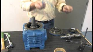 How To Change Bearings on Cone Drive Gearbox [upl. by Hadeehsar726]