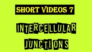 Intercellular junctions  Tight Junction  Gap junction  Desmosomes  Hemidesmosomes [upl. by Erdnaxela442]