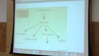 Nitrogen Metabolism by Kevin Ahern Part 1 of 7 [upl. by Aigil]