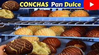 🔴CONCHAS Pan DULCE Mexicano 🇲🇽 TIPS para que te queden SUAVES y ESPONJADITAS✅Dulce Hogar Recetas [upl. by Earvin]