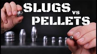 Pellets vs Slugs  Which is Best For You [upl. by Ellerrad]