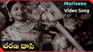 Charana Daasi Telugu Movie  Murisenu Video Song  ANR NTR Anjali Devi [upl. by Delanie960]