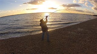 Beginners Beach Fishing Tips  Rigs Bait Tackle amp Tactics [upl. by Ytirahs27]