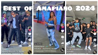 Best of Amapiano TikTok  2024 viral amapianodance amapiano [upl. by Perkoff]