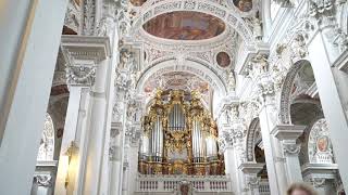 Passau Organ Concert starts 543 into clip after introductions [upl. by Ellerrehs]