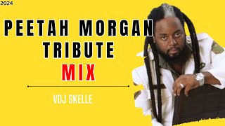 PEETAH MORGAN TRIBUTE MIXTAPE  BEST RIDDIMS ROCK [upl. by Iahcedrom]