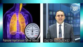 Pulmoner Hipertansiyon Belirtileri Tanı ve Tedavisi  Doç Dr Berkay EKİCİ [upl. by Ahsekyw]