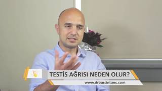 Testis Ağrısı Neden Olur [upl. by Cyd]