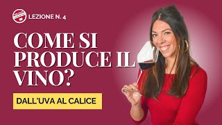 Corso di Vino per Principianti 4 Vinificazione  Il processo di produzione del vino passo per passo [upl. by Emmalynne516]