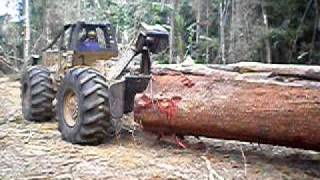 Skidder logging a large tree in a tropical forest rain forest [upl. by Elvah947]