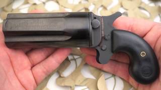 Leinad Cobray Pepperbox 5 Shot Derringer 410 45LC Overview  Texas Gun Blog [upl. by Hafital]