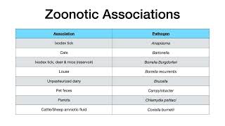 Microbiology Buzzwords amp Associations [upl. by Desiree]