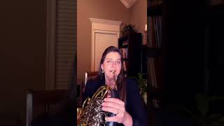 F Chromatic Scale Slightly Slower Tempo French horn [upl. by Nahn]