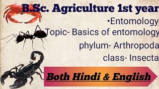 Basic Entomology  Phylum Arthropoda  Class Insecta  Explanation in both Hindi amp English [upl. by Chuu]