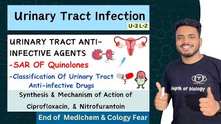 Urinary Tract Anti infective Agents  Urinary Tract infection  SAR of Quinolones cology medicinal [upl. by Yboj425]