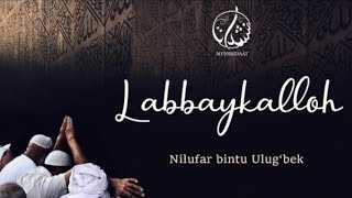 Nilufar bintu Ulugbek  labbaykalloh [upl. by Yesteb453]