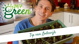 Tip van Lodewijk Stekken [upl. by Yhotmit]