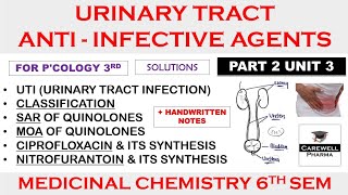 Urinary tract anti infective agents  Medicinal Chemistry 3  Pharmacology 6th semester [upl. by Eeresid385]