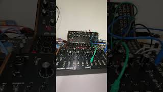 Spectravox with the DFAM moogdfam moogspectravox semimodular [upl. by Orgalim]