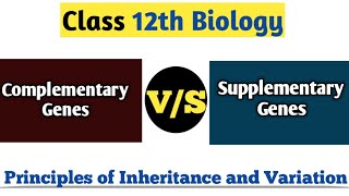 Difference Between Complementary Gene amp Supplementary Gene  Principles of Inheritance And Variation [upl. by Arhna146]