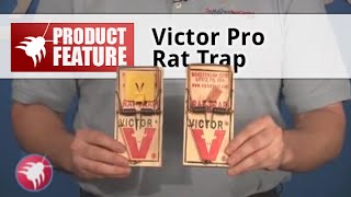 How to Set a Victor Professional Rat Trap [upl. by Alastair]