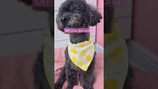 How To Sew an Over The Collar Dog Bandana [upl. by Veal]