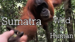 Sumatra  Wild amp Human  INDONESIA [upl. by Julio802]