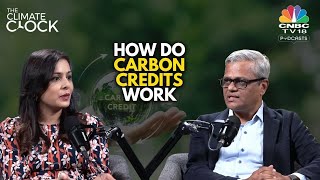 Understanding the Carbon Credits Market Insights from Chaitanya Kalia of EY India  Climate Clock [upl. by Meehaf]