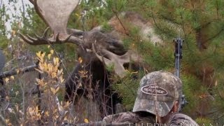 World Record Moose Shot [upl. by Assanav]