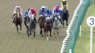 Rossdales Veterinary Surgeons Diamond Anniversary Handicap Stakes [upl. by Janela]