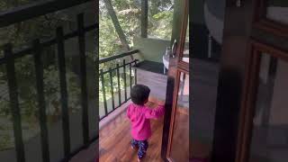 wayanad vibes Adithya Nature Resort  Rashas vibes Best affordable resort wayanad [upl. by Nairb]