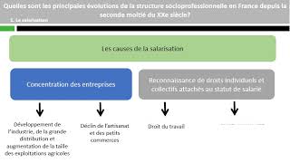 Quelles sont les principales évolutions de la structure socioprofessionnelle [upl. by Ahsenrat]