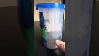 DampRid Review  60 Days of Use Full Container [upl. by Jennings652]