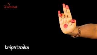 Bharatanatyam  Learn Asamyuta Hasta HD Video Lesson for Beginners [upl. by Adlesirg]