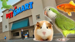 EXPLORING PETSMART  ANIMAL FRIENDS EVERYWHERE [upl. by Wolliw]