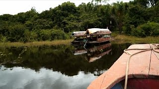 Documental quotAyahuascaquot [upl. by Hcone]