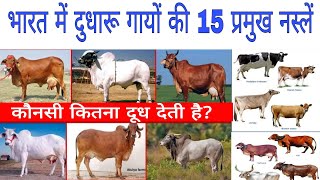 Top 15 भारत में दुधारू गाय की नस्लो indian cow Breeding list [upl. by Rawdan435]