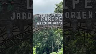 Caripe  Monagas Venezuela [upl. by Ydroj886]