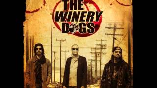 The Winery Dogs  Desire [upl. by Notsehc959]