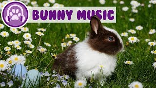 Relaxing Rabbit Music  Soothing Songs for Your Bunny [upl. by Aihn]