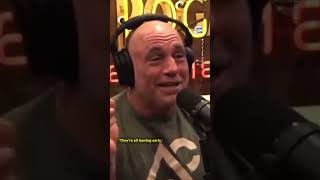 Joe Rogan Sounds Off on Kamala Harris Shes Nailing It [upl. by Jeannine216]