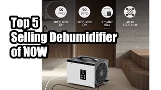 Top 5 Selling Dehumidifier of NOW [upl. by Packer]