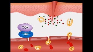 Introduction to Nonsteroidal AntiInflammatory Drugs NSAIDs [upl. by Ottavia]