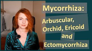 Mycorrhiza Arbuscular Orchid Ericoid and Ectomycorrhiza Characteristics and Features [upl. by Nevak]