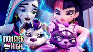 Frankie amp Draculaura’s Pets Get Caught By Humans  Monster High [upl. by Reisinger]