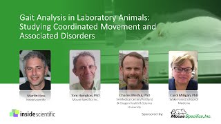 Gait Analysis in Laboratory Animals Studying Coordinated Movement and Associated Disorders [upl. by Daniella88]